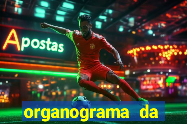 organograma da cacau show