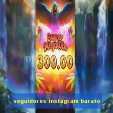 seguidores instagram barato