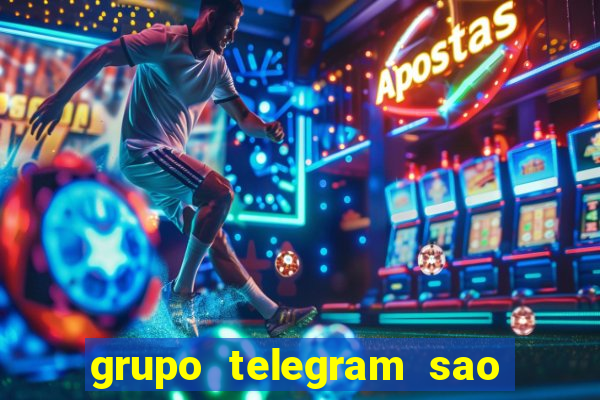 grupo telegram sao jose do rio preto