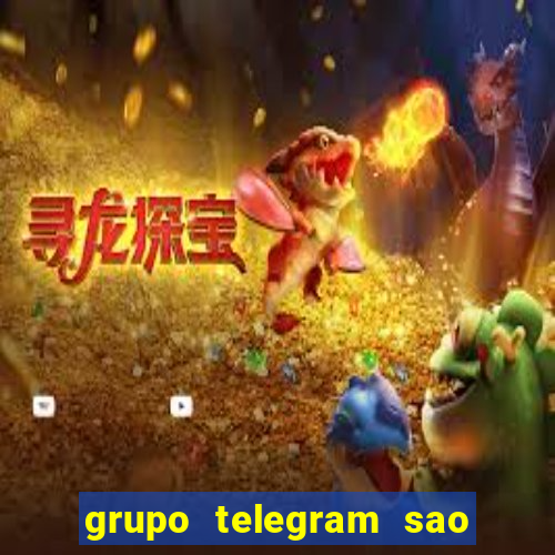 grupo telegram sao jose do rio preto