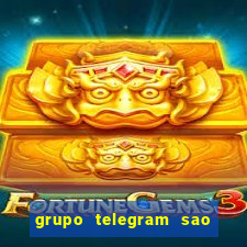 grupo telegram sao jose do rio preto