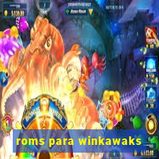 roms para winkawaks