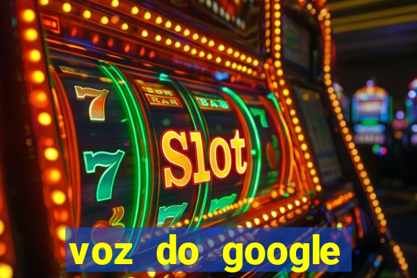 voz do google tradutor homem