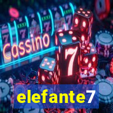 elefante7