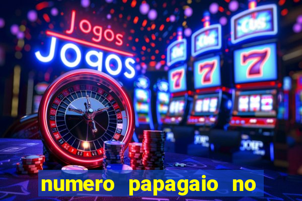 numero papagaio no jogo do bicho