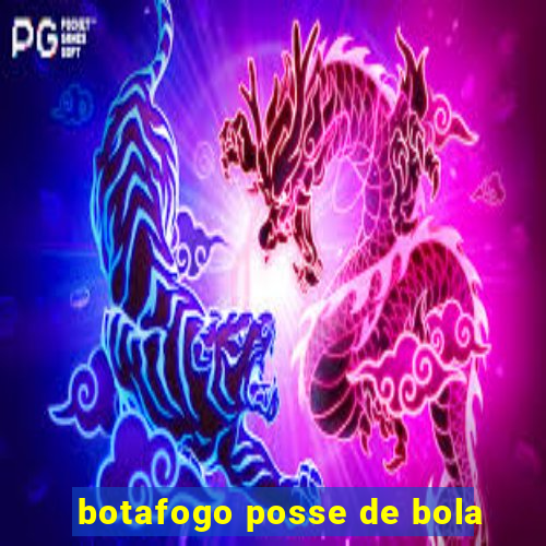 botafogo posse de bola