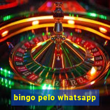 bingo pelo whatsapp