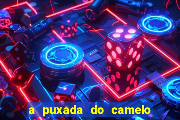 a puxada do camelo no jogo do bicho