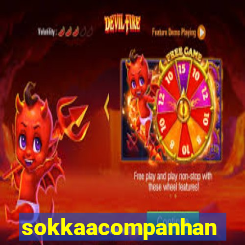 sokkaacompanhantes