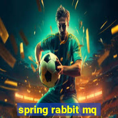 spring rabbit mq