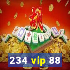 234 vip 88