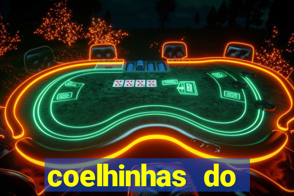 coelhinhas do brasil recife