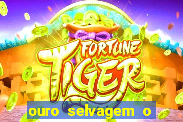 ouro selvagem o que aconteceu na vida