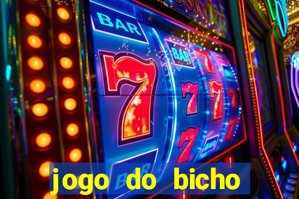 jogo do bicho crash bingo