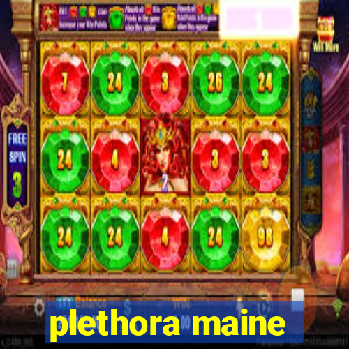 plethora maine