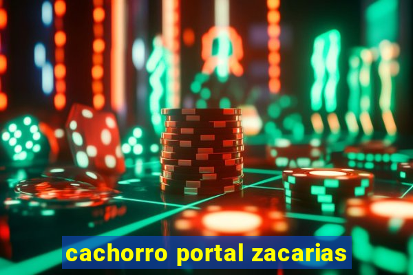 cachorro portal zacarias