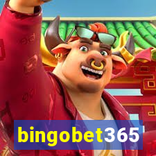 bingobet365