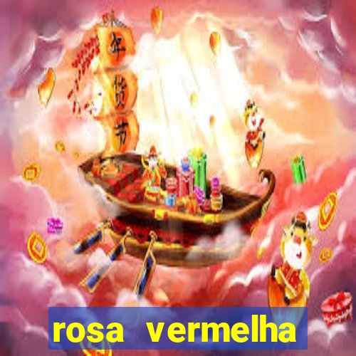 rosa vermelha (letra e cifra)