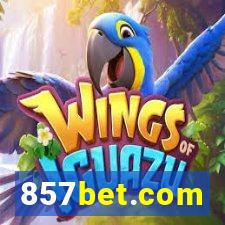 857bet.com