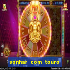 sonhar com touro bravo no mundo espiritual