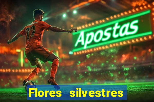 Flores silvestres brasileiras 25