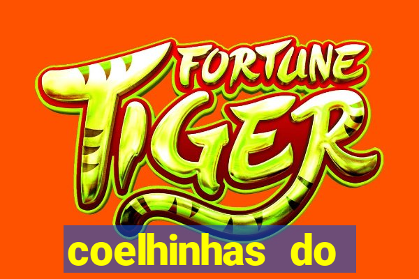 coelhinhas do brasil site