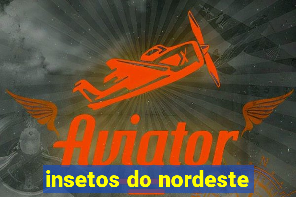 insetos do nordeste