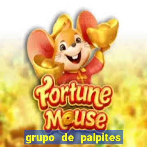 grupo de palpites de futebol whatsapp