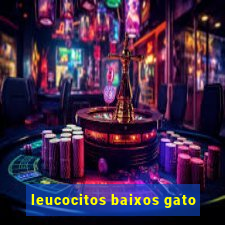 leucocitos baixos gato