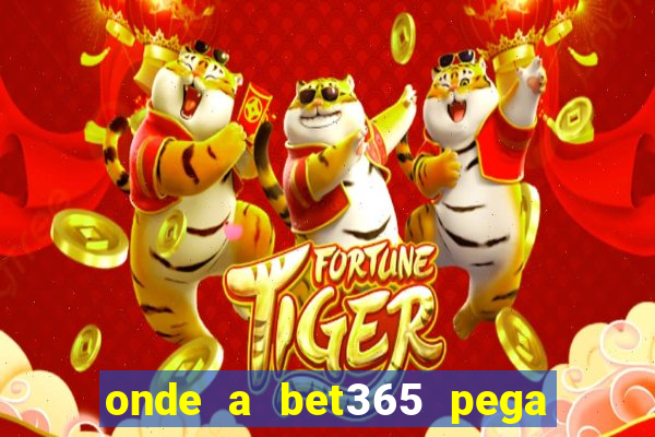 onde a bet365 pega as estatisticas