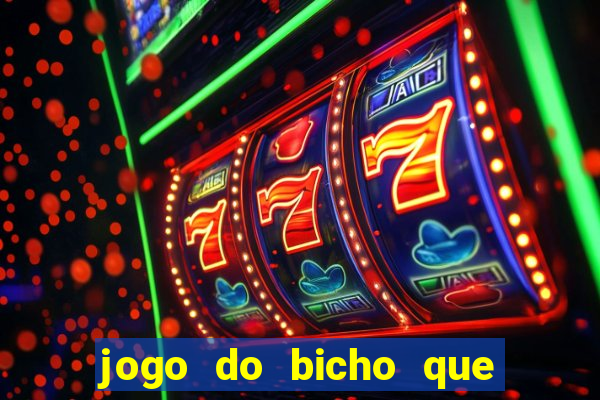 jogo do bicho que paga no pix