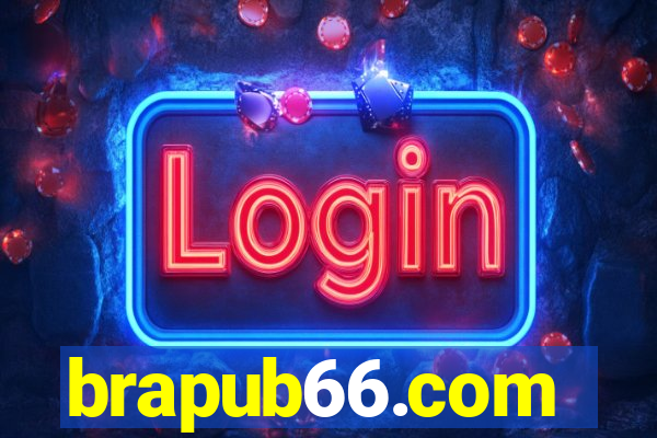 brapub66.com