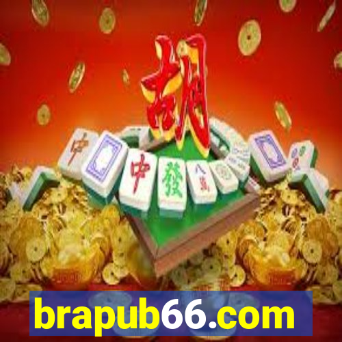 brapub66.com