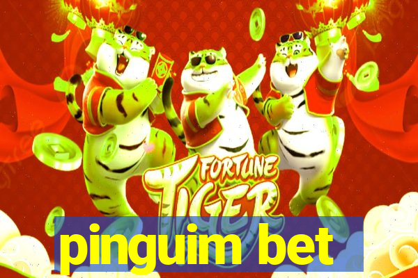 pinguim bet