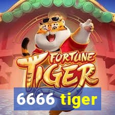 6666 tiger