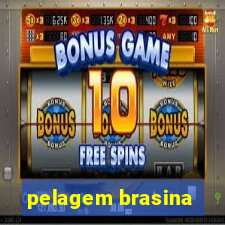 pelagem brasina