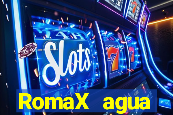 RomaX agua sanitaria fispq agua sanitaria romax