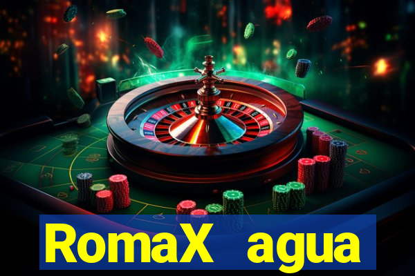 RomaX agua sanitaria fispq agua sanitaria romax