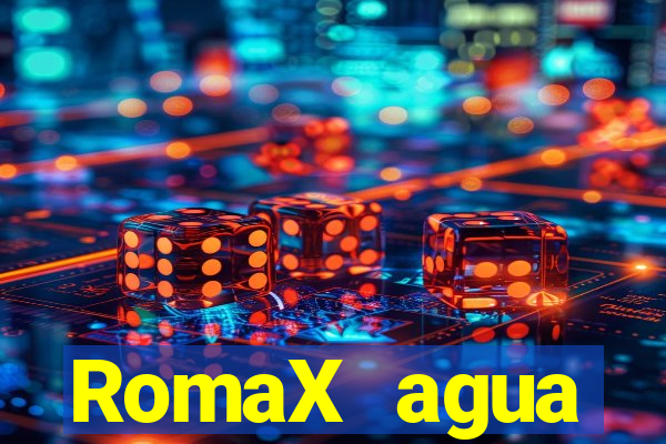 RomaX agua sanitaria fispq agua sanitaria romax