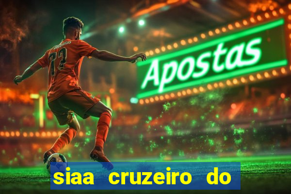 siaa cruzeiro do sul aluno