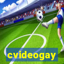 cvideogay