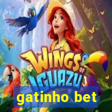 gatinho bet