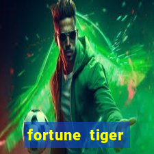 fortune tiger source code