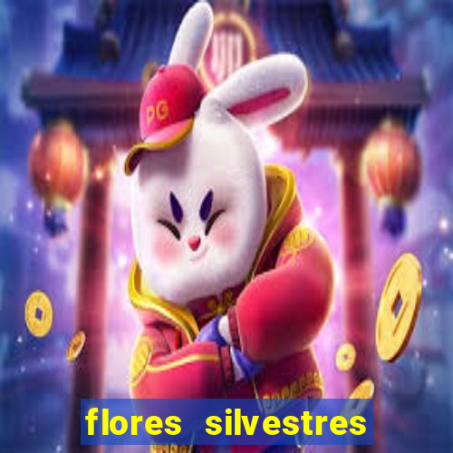 flores silvestres desbravadores desbravadores 25 flores silvestres e seus nomes