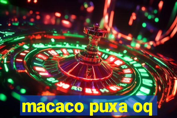 macaco puxa oq