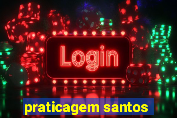 praticagem santos