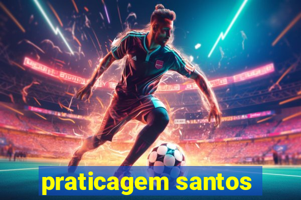 praticagem santos