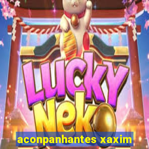 aconpanhantes xaxim