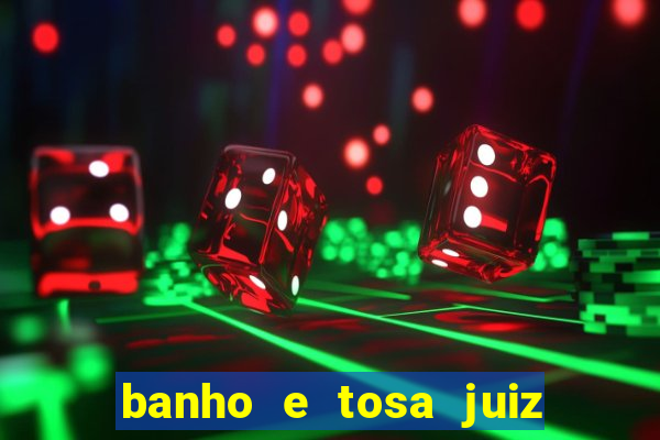 banho e tosa juiz de fora