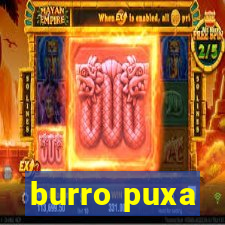 burro puxa